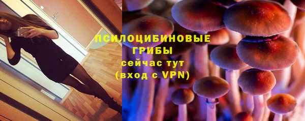 MDMA Premium VHQ Инта