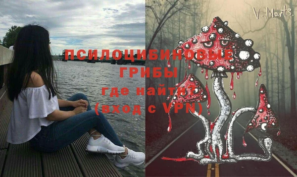 таблы Богородицк