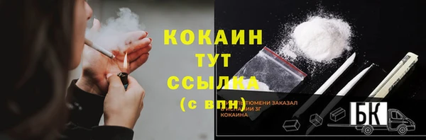 таблы Богородицк